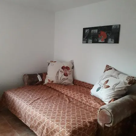 Roz Guest house *